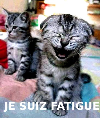 Je-suiz-fatigue